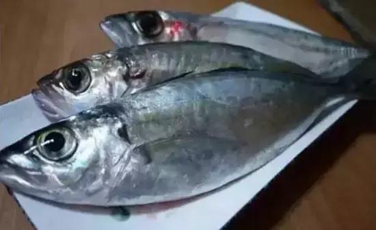 海南,梦想翅膀翱翔,自信力量引领前行